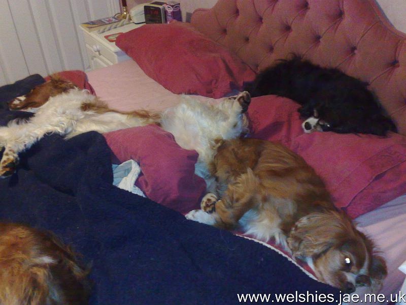 2011-01-06 01.jpg - Zzzzzzzzzzzzzzzzzzz